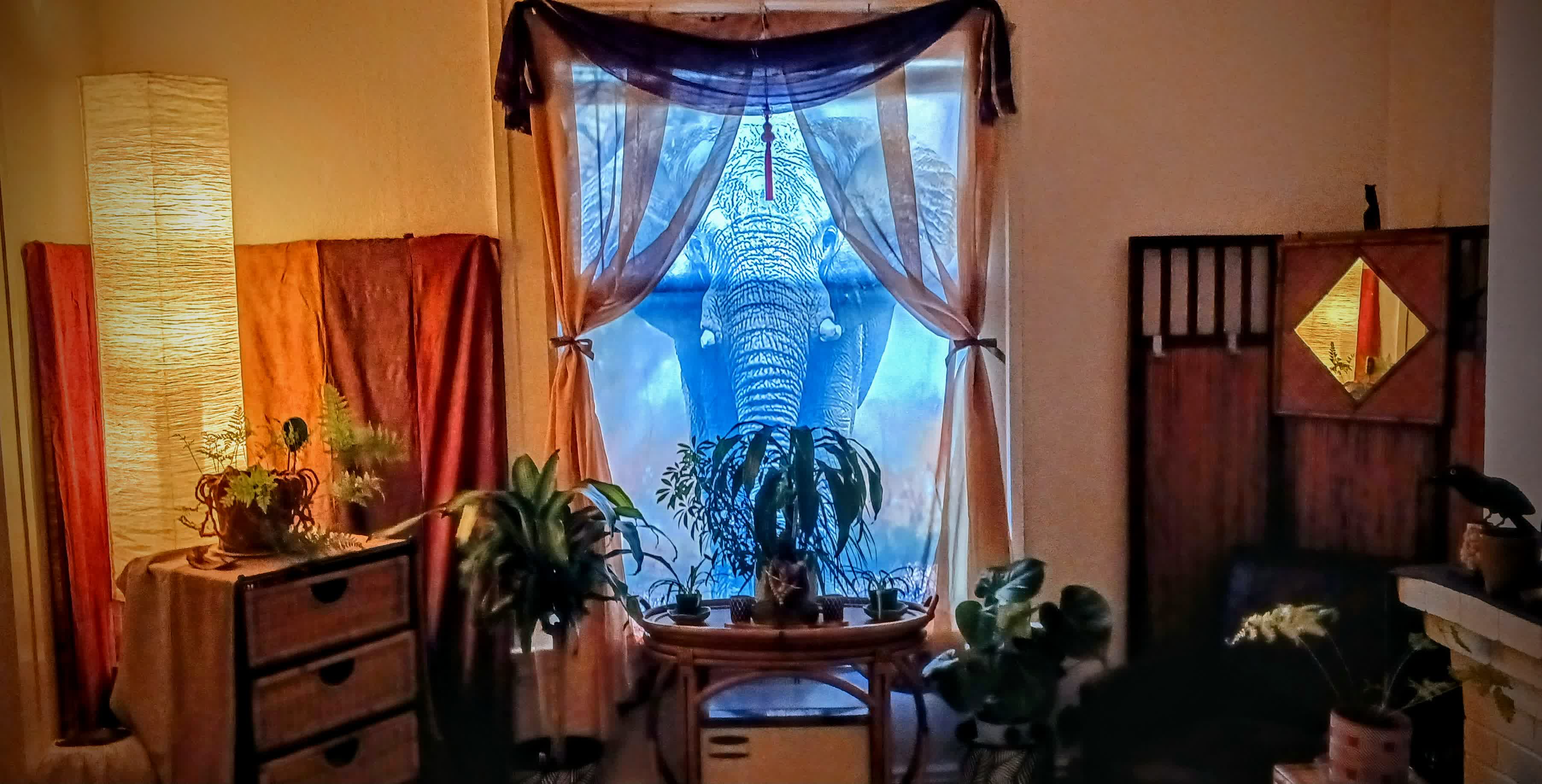 An outdoor massage table set up under a shade structure